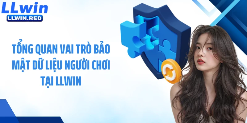 Chính Sách Bảo Mật Tổng quan vai trò bảo mật dữ liệu người chơi tại LLWIN